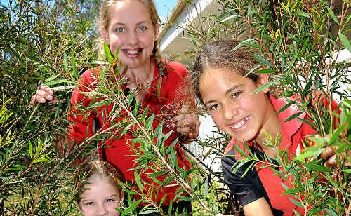 Tayla Gibson, Taylor Cross, Lifa Whyte and Tia Calio get in some practice for their Outback Adventure. Tayla Gibson, Taylor Cross, Lifa Whyte and Tia Calio get in some practice for their Outback Adventure.